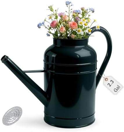 ‌2.3-Gallon Metal Watering Can,8.7L Galvanized Watering Can for Outdoor Plants with Removable Long Silver Spout by LONGRUNHOME