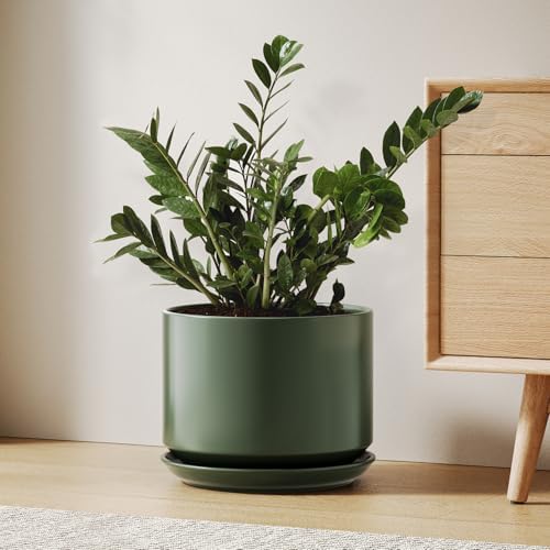 LE TAUCI 10 inch Plant Pot, Ceramic Pots for Plants, Forest Green by LETAUCI