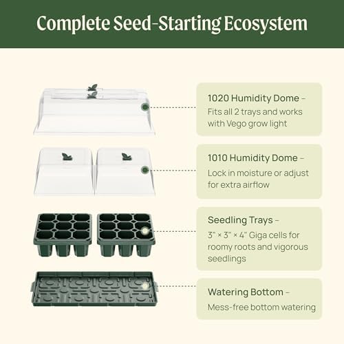 Vego garden Germination Bundle, 2Packs Giga Seedling Trays with Seedling Tray Lids and 10" x 20" Bottom Watering Trays Plus Seedling Humidily Dome - Image 5