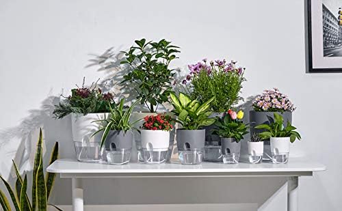 Self Watering Planter for Indoor Plants, 2 Pack 9.3 Inch Flower Pot Modern Decorative Plastic Planter with Extra Large Water Storage for All House Plants, Flowers, Herbs(Gray) - Image 5