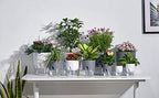 Self Watering Planter for Indoor Plants, 2 Pack 9.3 Inch Flower Pot Modern Decorative Plastic Planter with Extra Large Water Storage for All House Plants, Flowers, Herbs(Gray) - Image 5