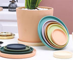 Plant Trays Simple Style Saucers Indoor Outdoors Garden Plant Watering Pallet Multi Colour Available Flower Pots Saucers(Blue,Small) - Image 3