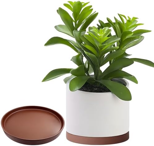 Yukfona Ceramic Plant Saucer Tray 2 Pcs 8 Inch Brown, 8.5" OD x8.15 ID x1 Deep| Fits Flower pots Bottom≤ 8.15", Heavy Duty Glazed Round Planter Drip with Catch Basin for Indoor Outdoor Plants - Image 5