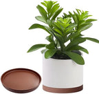 Yukfona Ceramic Plant Saucer Tray 2 Pcs 8 Inch Brown, 8.5" OD x8.15 ID x1 Deep| Fits Flower pots Bottom≤ 8.15", Heavy Duty Glazed Round Planter Drip with Catch Basin for Indoor Outdoor Plants - Image 5