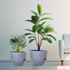 WSMKSZ 12/10/9 inch Self Watering Pots for Indoor Outdoor Plants, Set of 3 - Image 7