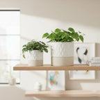 Nihow Ceramic Self Watering Plant Pot for Indoor Plants, 4.5+6 Inch - Image 7
