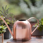 Watering Can with Long Mouth and Handle Ml Stainless Steel - Image 2