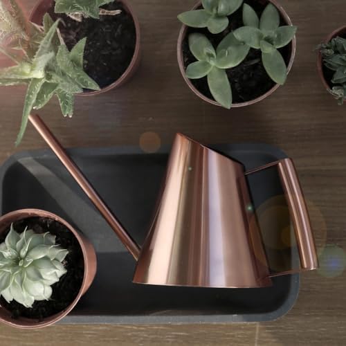 Stainless Steel Watering Can Featuring Extended Spout for Controlled Moisture Delivery to For Indoor Outdoor Lavender Clusters (900ML gold) by Unknown