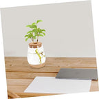 Xmas Glass Terrarium with Lid, Decorative Micro Landscaping Container - Image 5