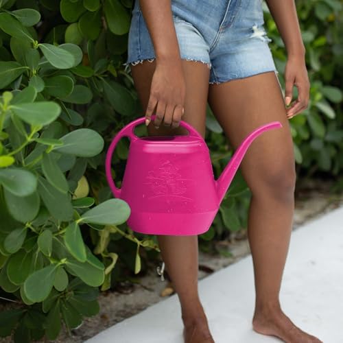 Bloem Aqua Rite 144 oz Plastic Watering Can, Long Spout, Fuchsia, 2-Pack - Image 2