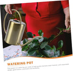 Generic Stainless Steel Long Spout Watering Can Practical Brass Watering Pot for Indoor Outdoor Plants Precise Pouring Leak-Resistant Design Comfortable Grip Gardening Tool - Image 7