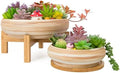 Succulent Pots, Large Plant Pots Ceramic Bonsai Pots with Drainage Tray by ARTKETTY