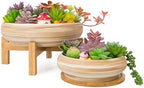 Succulent Pots, Large Plant Pots Ceramic Bonsai Pots with Drainage Tray by ARTKETTY