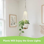 2 Pack Self Watering Hanging Planters with Grow Light for Indoor Plants - Image 3