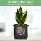 Homaisson 4 Pcs Self-Watering Plant Saucers, Indoor Auto Watering Fabric Pot Bases, Round Plastic Drip Trays for Plant Growth Bags, Provide Stable Support and Prevent Leakage - Image 2