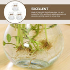 3pcs Glass Flower Storage Bottle Hydroponic Plant Vase Xmas - Image 5