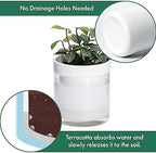 Phoenix Vine 4 Inch Self Watering Planter, White Terracotta Clay Pot with Glass Reservoir for Indoor Plants, Herbs, Flowers, Set of 3, 52-B-E-3 - Image 4