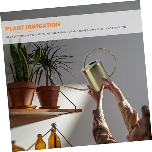 LIOOBO Stainless Steel Long Spout Watering Can Durable Practical Kettle for Indoor and Outdoor Plants for Gardening Enthusiasts Easy to Use and Reusable - Image 6