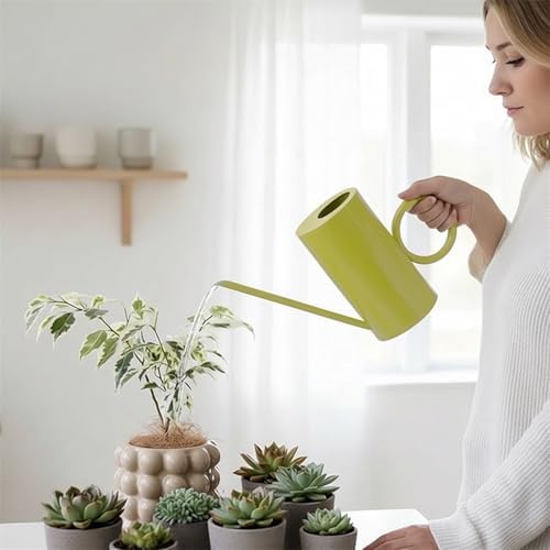 Indoor Watering Can for House Plant Stainless Steel Watering Can Metal with Long Spout Indoor Plant 1500ml - Image 6