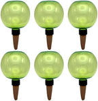 6 Pack Self Watering Globes, 17 oz Plant Watering Globes with Terracotta Stakes, 6.7 x 3.9 in Automatic Plant Waterer Indoor Bulbs for Vacation, Large Capacity Irrigation for Successive Feeding by Unknown
