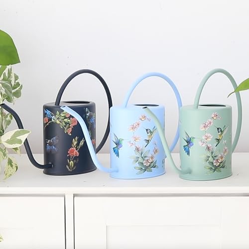 Indoor Watering Can & Mist Spray Bottle Set for Indoor Plants - Decorative - Image 6