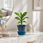 D'vine Dev Self-Watering Blue Terracotta Planter, 4 in, 3-Pack, 37-Z-A-4-T - Image 6