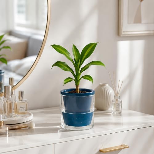D'vine Dev Self-Watering Blue Terracotta Planter, 4 in, 4-Pack, 37-Z-A-4-F - Image 3