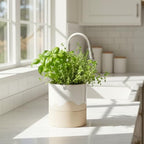 Nihow Ceramic Self Watering Plant Pot for Indoor Plants, 6 Inch,Cream White - Image 5