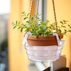 15 Pcs 8 Inch Hanging Plant Water Catcher, Clear Plastics Hanging Basket Drip Pans, Hangings Plant Saucer Drip Pan for Hangings Basket Indoor & Outdoor Use - Image 5