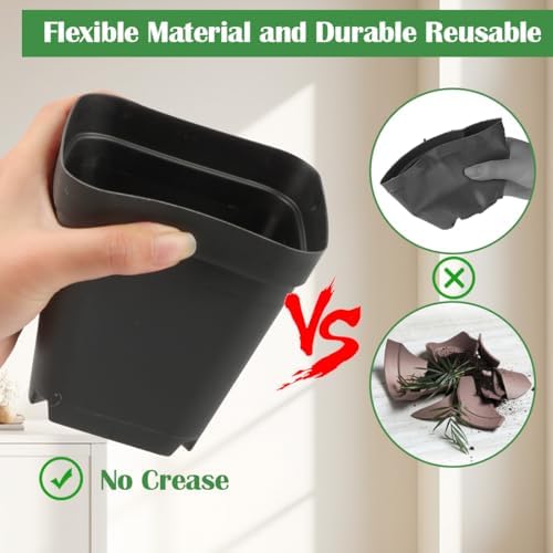 RooTrimmer 3.15 inch (8CM) Square Nursery Pots 100 pcs, Sturdy Seedlings Trays 5 Pcs, Seeds Starter Germination Tray, Microgreening Planter Nursery Propagation 5 Sets - Image 5