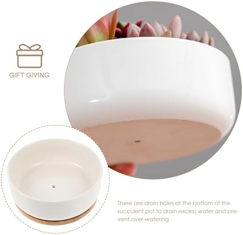 VILLCASE White Ceramic Small Bonsai Pots with Tray, Round Succulent Planter Pot for Home and Balcony, Designed to Collect Excess Water and Prevent Over-Watering - Image 3