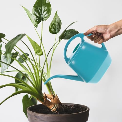 Plastic Watering Can Long Spout, Large Capacity Green - Image 7