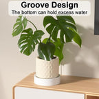 Plant Caddy with Concealed Wheels, Plant Watering Tray, 2 Pcs - Image 7