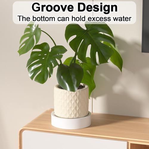 Plant Caddy with Concealed Wheels, Plant Watering Tray, 2 Pcs - Image 7