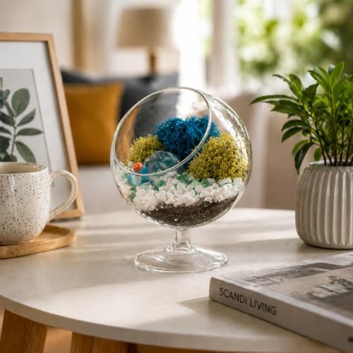 Creations by Nathalie DIY 6" Chalice Terrarium Kit Build Your Own Glass Terrarium for Adults & Teens, DIY Terrarium Kit with Live Moss, Crystals, Soil (Plant Not Included) by CreationsbyNathalie