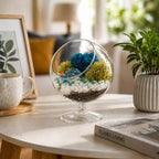 Creations by Nathalie DIY 6" Chalice Terrarium Kit Build Your Own Glass Terrarium for Adults & Teens, DIY Terrarium Kit with Live Moss, Crystals, Soil (Plant Not Included) by CreationsbyNathalie