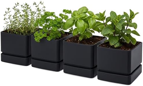 D'vine Dev 4-Pack Plastic Herb Planter Pots, 6 in, Black, 76-Y-B4-2 by DvineDevPlanterPotsandStand