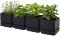 D'vine Dev 4-Pack Plastic Herb Planter Pots, 6 in, Black, 76-Y-B4-2 by DvineDevPlanterPotsandStand