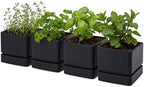 D'vine Dev 4-Pack Plastic Herb Planter Pots, 6 in, Black, 76-Y-B4-2 by DvineDevPlanterPotsandStand