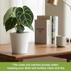 4 pack of 7in & 5in Double-Layer Self watering Pot with clear insert,white - Image 6