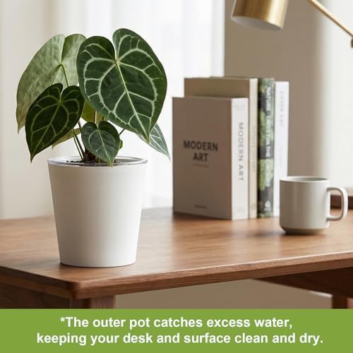 4 pack of 7in & 5in Double-Layer Self watering Pot with clear insert,white - Image 6