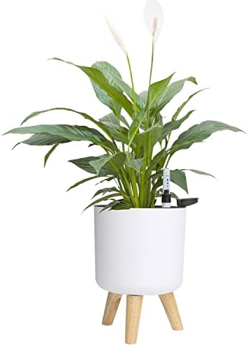 6.5" & 5.5" Self Watering Planters (2 Pack) for Indoor Plants with Water Indicator, White Modern Flower Pot with Wood Stand for Office Home Decor Garden (Small+Middle) by Ovlist