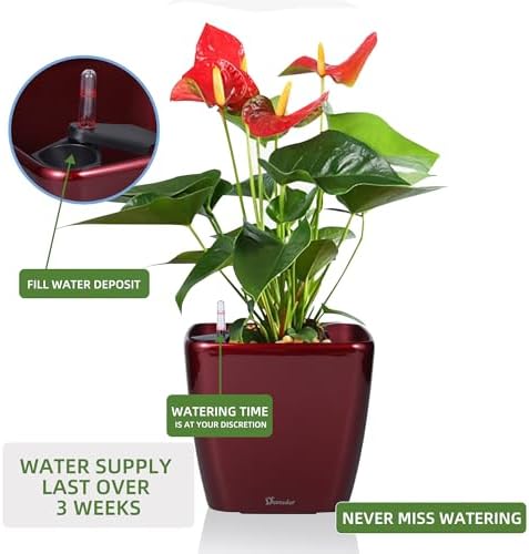 Dexceder 9x8 Self Watering Planter (Red High Gloss) - Image 5