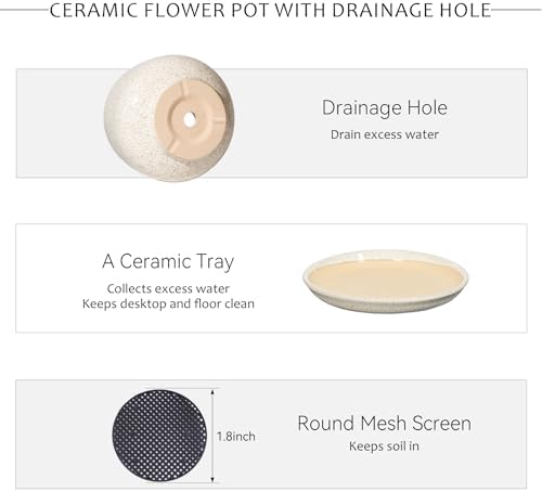 7.5 Inch Ceramic Planter with Saucer,Modern Garden Pots with Drainage Hole Mesh Net, for Indoor Outdoor Use (Silk White) - Image 4