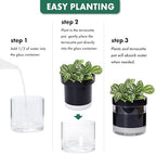 Phoenix Vine 6 Inch Self Watering Planter Pot, Black Terracotta Clay Pot with Glass Reservoir for Indoor Plants, Herbs, Flowers, Set of 2, 52-C-F-2 - Image 7