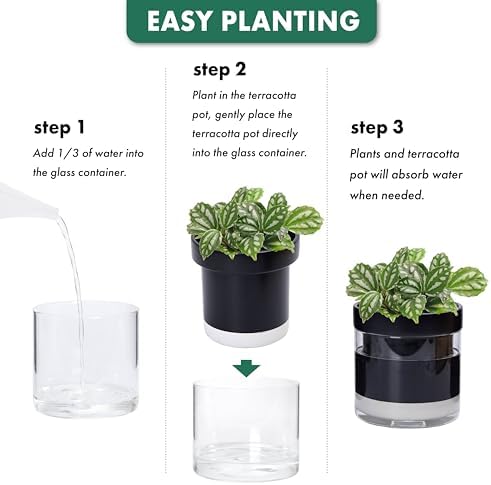Phoenix Vine 6 Inch Self Watering Terracotta Planter, Black Terracotta Clay Pot with Glass Reservoir for Indoor Plants, Herbs, Flowers, Set of 1, 52-C-F-1 - Image 7