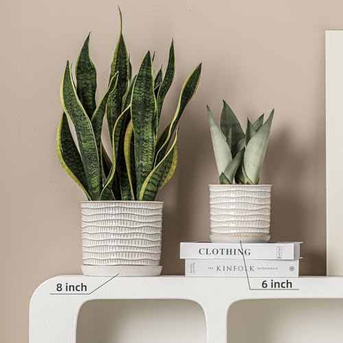 5.8 Inch Plant Pot: Ceramic Planter with Drainage Hole & Saucer - Cream White Flowerpot for Indoor & Outdoor Plants - with Separate Tray for Home & Office - Wave Embossed Design - Image 6