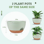 Vanslogreen Plant Pots 12inch Self Watering Pots, Set of 2 Plastic Planters with Drainage Holes and Saucers, Flower Pots for Indoor Outdoor Plants (Green) - Image 2