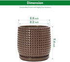 D'vine Dev Beaded Ceramic Pot with Saucer, 8 in, Stone Taupe, 27-C-Q-L - Image 3