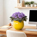 8 Inch SelfWatering Plant Pots, Ceramic Flower Pots, Yellow - Image 7